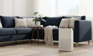 Air Purfier guildlines