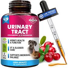 Best Urinary Tract Health Supplement
