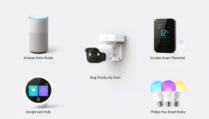 popular smart devices,Amazon Echo WiFi,Philips Hue example,Google Nest devices,smart home brands