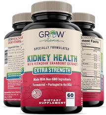 Why Supplements for Kidneys?