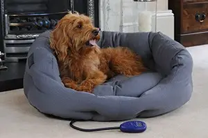 heated-dog-bed