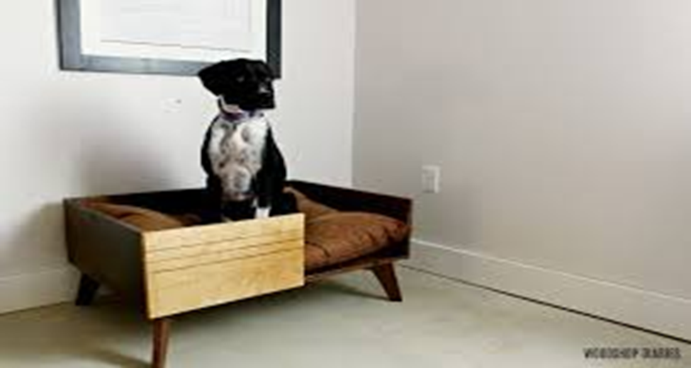 How to make a dog bed