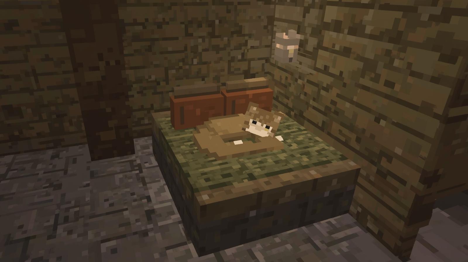  Minecraft-Pet-Bed-create