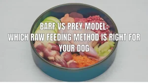 Raw dog food