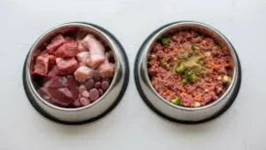 meat Raw food
