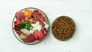 dog food