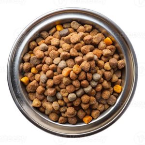 Dry vs Wet Dog Food