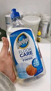 pledge