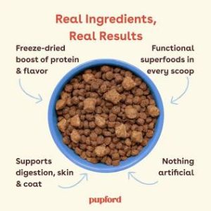 dog food