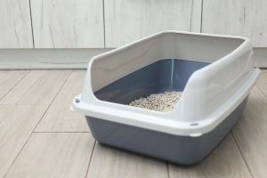 Best Cat Litter Box
