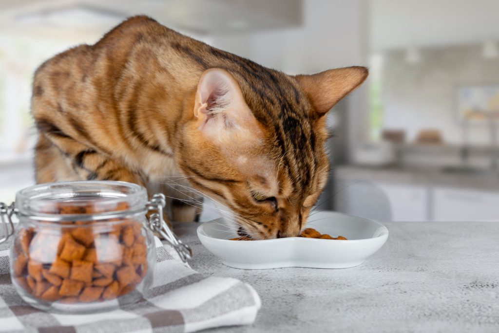 Understanding food