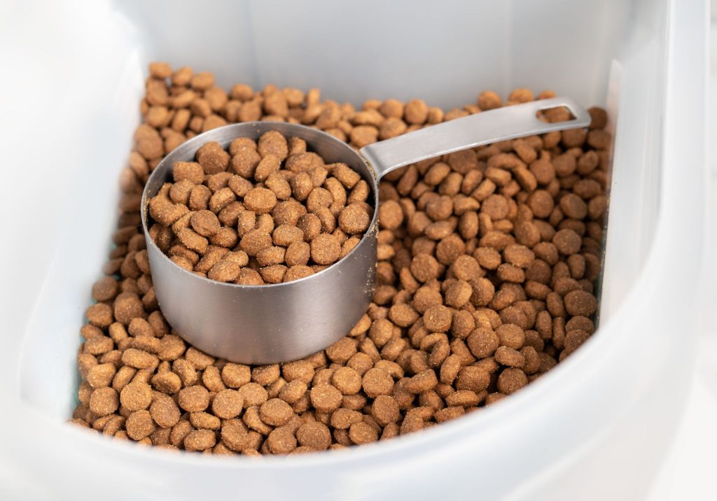 Dog nutrition guideline