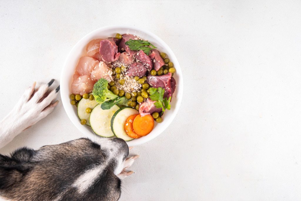 The Ultimate Dog Nutrition