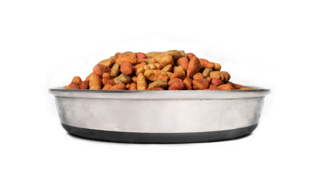 best dog food