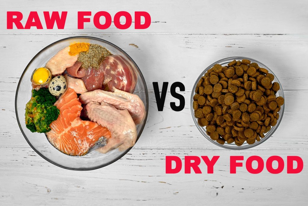 Dog nutrition 