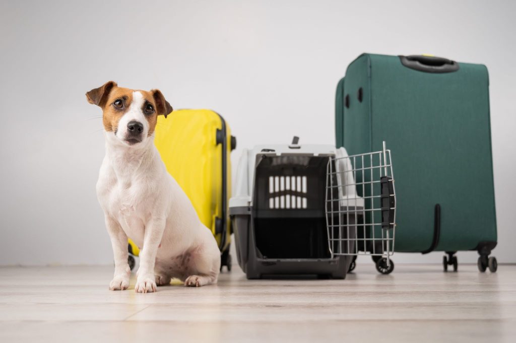 Traveling With Pets